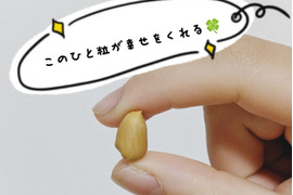 【数量限定】秋の味覚☆美味しい🥜煎りたて落花生🥜☆200g×5袋