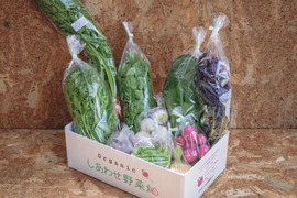 【規格外増量】オーガニック野菜「シェフLセット」しあわせ野菜畑