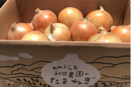 トロあまターザン！淡路島玉ねぎ　5kgM〜LL