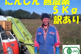 有機 JASにんじん 訳あり 5kgジュース用オーガニック生活 ダイエット効果にも最適/6月10日以降発送予定です