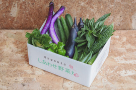 【規格外増量】オーガニック野菜「シェフSセット」 しあわせ野菜畑