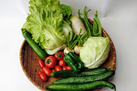 八ヶ岳高原から直送!旬の野菜セット7品目以上 80サイズ