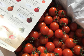 【2箱セット】【カラフルお裾分け6パック(140g×6パック】＋【げんき赤ミニトマト1.3kg】