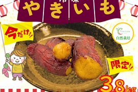 【福袋2025】冷凍焼き芋🍠今だけお得!!!😎  農薬不使用　紅はるか　完熟芋を使用した冷凍焼き芋　約3.8kg♪