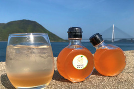 【無添加・農薬・化学肥料等不使用栽培】コーディアルシロップ　ブラッドオレンジ（タロッコ）150ml×2本