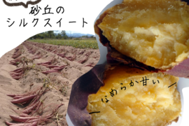 【訳あり】なめらか～で甘い！砂丘のシルクスイート(３㎏)