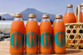 農薬・化学肥料不使用の人参を搾った人参ジュース 350㎖×8本