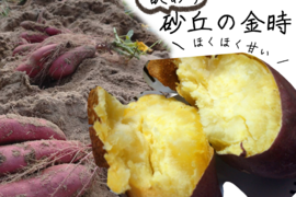 【訳あり】貯蔵期間2ヵ月ホクホク甘い！砂丘のさつまいも(３kg)