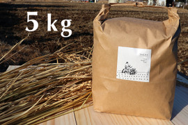 【令和4年産】農薬・化学肥料不使用　長野県産コシヒカリ　【玄米5kg】