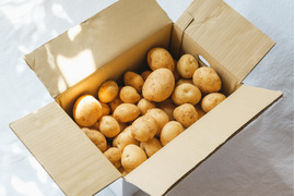 ほくほく甘い！屋久島の新じゃが〈ニシユタカ〉農家直送　5㎏