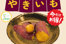 冷凍焼き芋【今だけお得!!!】農薬不使用　紅はるか　完熟芋を使用した冷凍焼き芋　約1.5kg♪