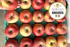★★新春セール★★🍎約１０キロ🍎レビュー数1900件突破！！葉とらずふじ【家庭用】２６玉～４３玉 青森りんご リンゴ 商品ID197581