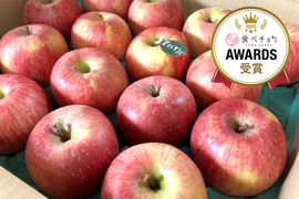★★新春セール★★🍎約5キロ🍎レビュー数1900件突破！！葉とらずふじ【家庭用】１３玉～２３玉 青森りんご リンゴ 商品ID165766