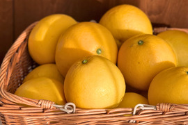 天皇杯受賞農家の土佐文旦 7kg（家庭用）高知県大月町 産地直送 旬の柑橘！