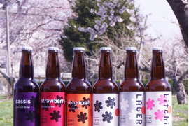 【父の日ギフト】テキカカシードル元祖6種類飲み比べセット 青森の老舗りんご園が造る本気シードル🥂摘果りんごを活用したアップサイクルなお酒🍏健康志向・SDGsに関心がある方におすすめ🎁
