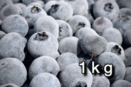 【道産自然栽培】冷凍ブルーベリー•1kg（古参品種ミックス）※まとめ買い対応