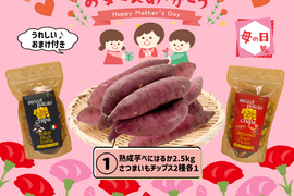 【母の日ギフト】💐おまけ付き💐 ① アグロファームの『紅はるか』母の日福袋 ① 100日間以上貯蔵 熟成芋!! 2.5kg!!!　　　ご自宅用にもオススメ💖