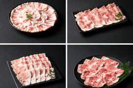 【冬ギフト】《鹿児島伝統の黒豚 6～8人前》しゃぶしゃぶ満腹セット 〈ロース・肩ロース・バラ・モモ〉【のし対応】【ゲン担ぎ福袋】