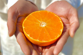 せとか2kg＋甘平2kg【柑橘食べ比べ】