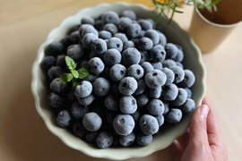 長野県産ブルーベリー 3kg 大粒多め わらいみらい フルーツ ブルーベリー 国産 長野県産 冷凍