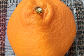 【今が旬】はるみ大玉みかん4kg和歌山産（冷蔵便）