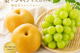 【夏ギフト】熊本県産梨2玉とシャインマスカット1房セット