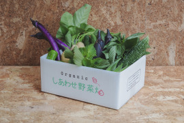【規格外増量】オーガニック野菜「シェフＭセット」しあわせ野菜畑