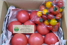 トマト王国2019