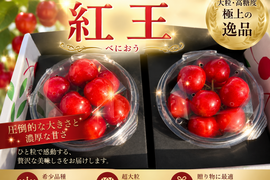 ※数量限定※新品種　紅王登場！！！山形県産　【500円サイズ】　2L〜5L　父の日　ギフト　贈答用　家庭用
