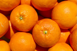 ブラッドオレンジ 5kg 【希少柑橘】