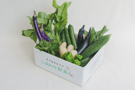 旬の有機野菜Mセット　しあわせ野菜畑（有機JAS）