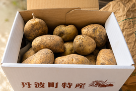 京丹波町産じゃがいも「キタアカリ」3kg