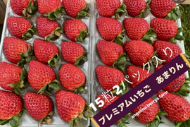 プレミアムいちご 『あまりん』11粒~15粒 280g×2p