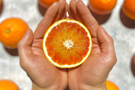 【早割】ブラッドオレンジ 3kg 【真っ赤な高級柑橘】