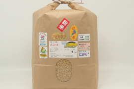 ✤令和4年産新米菜の花米✤玄米5kg☆近江米コシヒカリ☆農薬・化学肥料不使用