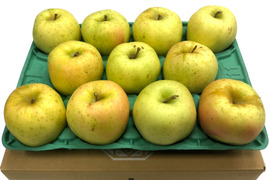 【予約販売】甘ぁ～い💛トキ🍏家庭用約2.7Kg🍏青森県産　数量限定