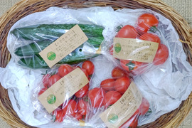 初めてご注文のお客様へ【初回限定】ぶるベジトマトのお試し！春の詰合せ♪（トマト３品種（大玉トマト抜き）＋朝モギきゅうり）
