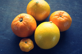 【柑橘好きの方へ】農薬不使用・屋久島産　柑橘５種食べくらべセット（ご家庭用・約5kg）