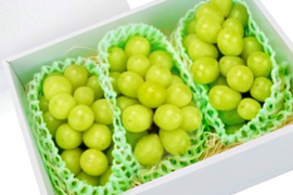 【先行予約】パリッと食感の高糖度タネ無しシャインマスカット！　約1.5kg〜1.8kg  3房　/ 静岡市　Mando Farm 直送　9月中旬〜10月発送