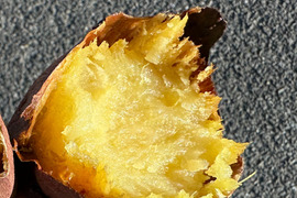 【千葉県産】熟成さつまいも　べにはるか　しっとり甘い！冬の寒い時期は蜜入りになることも！焼き芋、スイートポテトにも。