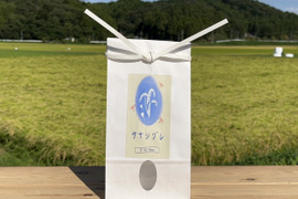 『新米』2023年度【環境保全米】幻のお米ササシグレ 白米5kg