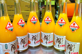 【我が社のイチオシ】味と香りでストレス解消　セニョリータ陽子　クレメンティン完熟贅沢搾りジュース720mlの6本セット