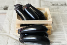 朝採り！千両茄子。（⒈3キロ・14本前後・ご家庭）