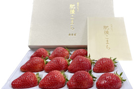 🥇いちごグランプリ金賞受賞！希少品種！『肥後こまち』化粧箱400g 贈答用 12〜15玉