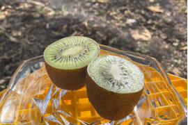 腸活に！うれしいセット！
みつばちキウイ®中玉900g＋干し柿200g〈農薬・化学肥料不使用、無添加〉