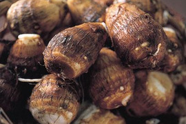 越冬旨み！ねっとりパワー＊里芋3ｋ～農薬/化学肥料・不使用