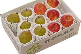 長沼果樹園　中玉ラフランス　・りんご　詰め合わせ　（ラフランス６個・ふじりんご５個）約3㎏　山形県上山市