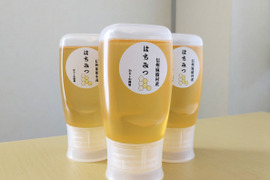 非加熱、純粋はちみつ（百花蜜）900g（300gｘ3本）、信州麻績村産、2024年6月採蜜、レターパックプラス発送