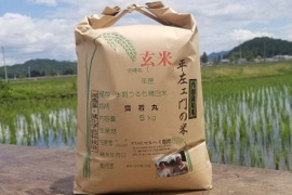 令和5年産　特別栽培米雪若丸玄米5kg