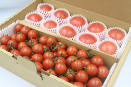 まるたか農園採れたて完熟トマトセット